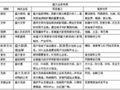 盛大布局无线产业链 强化渠道支付通道