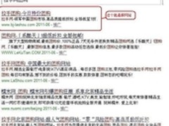 “假拉手网”狂买搜索引擎广告 