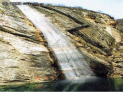 屁颠屁颠 紧跟你万变的潮流节奏