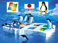 谁是最佳服务器OS：Linux VS Windows 