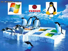谁是最佳服务器OS：Linux VS Windows 
