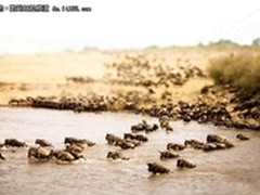 携EOS 5D Mark II 直击南非风光