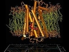 GPU加速技术推动生物信息学的发展