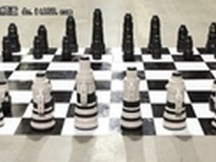 这样下棋才过瘾 36只佳能尼康镜头对战
