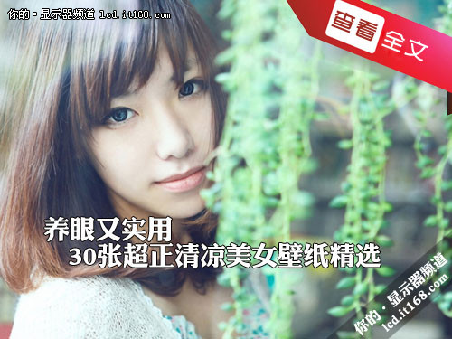 养眼美女壁纸图片