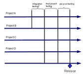 使用 IBM Rational 设计发布管理策略