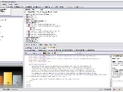 Rational AppScan 扫描大型网站