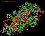 解读可视化技术在HPC中的应用