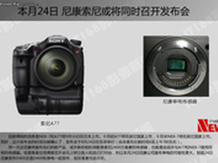 发布时间推迟 索尼α77或于8月25才发布