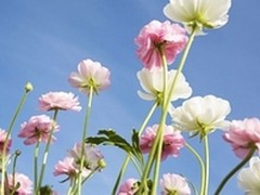 人生最美好的事莫过于海量存储