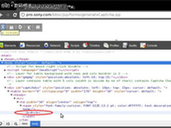 完全无用 Sony网站有着最脑残的验证码