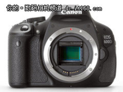 入门单反新贵 佳能EOS600D宜昌售5320元