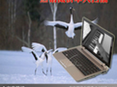 低价不一定一无是处 热销低价本大扫描