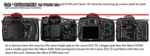 和7D/D7000/D300S比大小 α77尺寸曝光