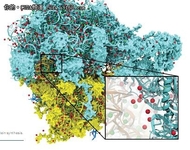 快速应对H1N1：GPU计算加速分子建模