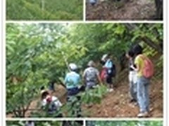 微公益的故事：大学生村官微博卖板栗