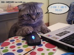 十一宅家不寂寞 2011年精品游戏全推荐