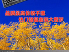 品质虽高价格不涨 热门键鼠套装大搜罗