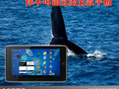 时尚平板大流行 你不可错过的五款平板