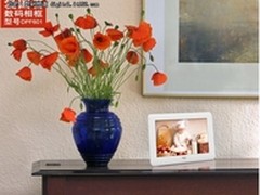 小空间 爱国者相框hold住“宜家”范儿