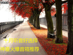 十月听音好选择 耳神最火爆音箱推荐
