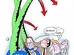 患得?患失? 论互联网服务的泡沫战争