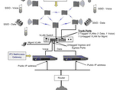 Strix无线Mesh网状网技术入主宁夏高校