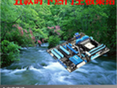 实惠实用又稳定 五款时下热门主板集结