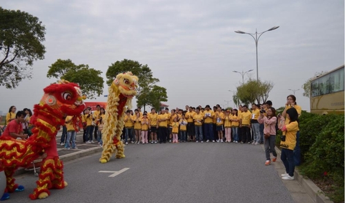 全球56个城市-2011维布络马拉松进行时