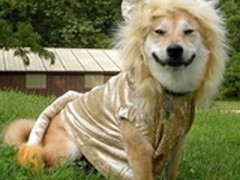 DICE改称主机才是《战地3》的主导平台