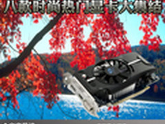 游戏玩家首选 八款时尚热门显卡大集结