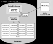 Oracle 10g： SQL和PL/SQL支持灵活加密