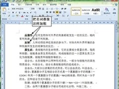 Word文档段首词语批量加粗的方法技巧