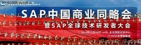 国际化背景中的企业SAP实施模板建设
