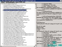 如何找到消失的DNS记录？