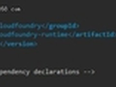 CLOUD FOUNDRY开发实战：cloud命名空间