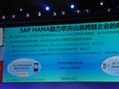 SAP HANA 轻松应对大数据实时分析挑战