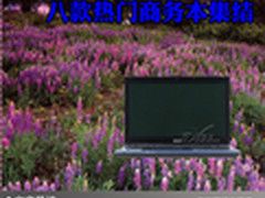 娱乐办公样样精通 八款热门商务本集结