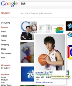 Google Images图片搜索结果也可Google+