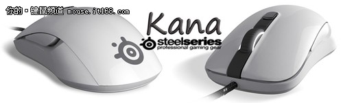 SteelSeries即将发布Kana及Kinzu v2