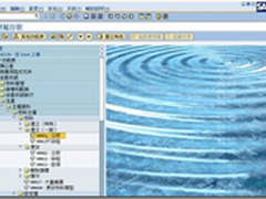 SAP技术应用：物料主档建立之PP模组 