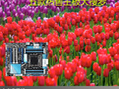 性能强劲装机必备 五款热售主板大搜罗