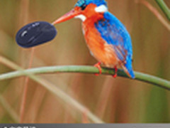 最佳游戏体验 五款时尚热门鼠标大集结