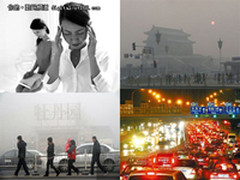 都市生活那些事 面对城市污染该怎么办