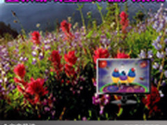 游戏玩家首选 五款游戏型显示器大集结