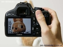 【成都】实惠又诱人 佳能 550D套机4200