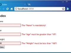 ASP.NET MVC：消息组件获取验证消息 