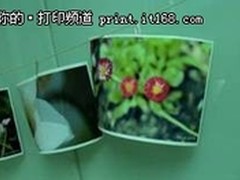 随拍随打 无线照片打印好伴侣