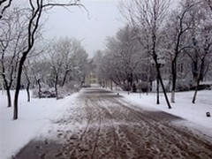 快乐过圣诞 预装Win7本本平安过冬攻略