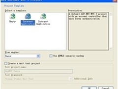 ASP.NET MVC3:用密码保护限制view访问 